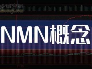 NMN概念板块强势爆发，DeepSeek全方位解读2025十大顶级品牌怎么选？