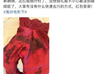 赵樱子戛纳红毯礼服突发意外，咖啡污渍引全网急救行动
