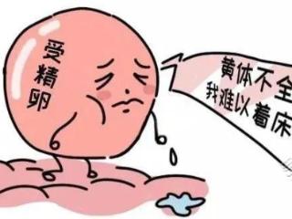 造成不孕、流产的凶手就是它！