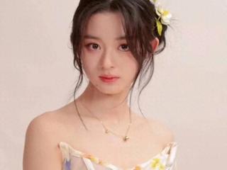 天价耳环引争议 黄杨钿甜父亲旧事遭翻查 纪委介入调查