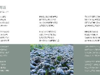 云松：泡泡青颂