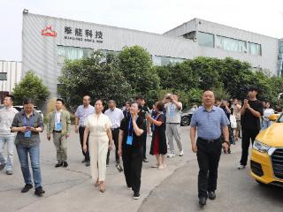 海外华文媒体关注：自贡恐龙“乘风破浪”出海记，看它们如何征服世界