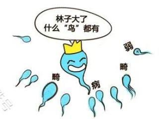 备孕，男人你的精子达标吗?健康精子的4大标准!