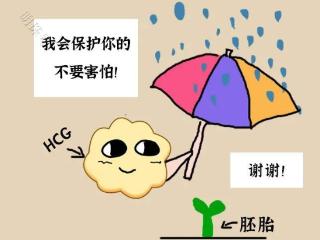 怀孕后什么时候查HCG?_怎么看HCG翻倍是否正常?