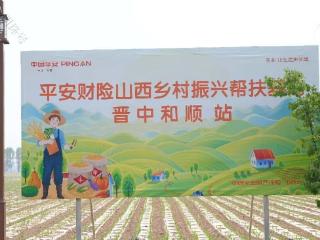 平安财险山西分公司为乡村振兴注入金融保险力量