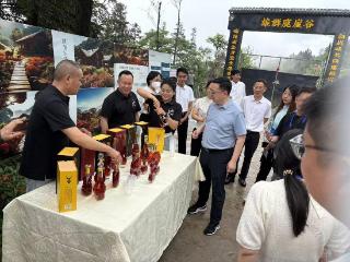 海外华文媒体聚焦泸州 | 探访乡村振兴新风貌与侨联工作新成效