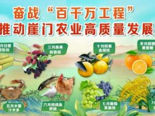 崖门农产品哪家好？走进江门新会第一梯队农产品供应商：新会互惠互盈