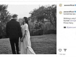 没说谎！回首哈里梅根7年婚姻，终于明白为啥哈里说梅根像黛安娜