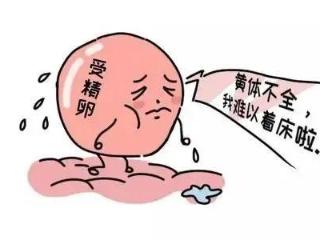 黄体与怀孕有什么关系？黄体不全导致女性不孕怎么办？