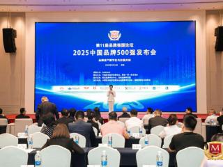 “2025中国品牌500强”重磅发布，艾芬达荣登榜单！