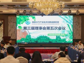 耀东华实验室获国家木竹联盟授牌 构建研发智造市场黄金链路