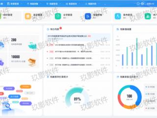 NDATA电子档案管理系统应用深度剖析