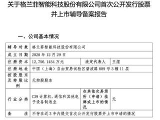 国产GPU厂商加速冲刺IPO 格兰菲启动A股上市辅导 阿里投了