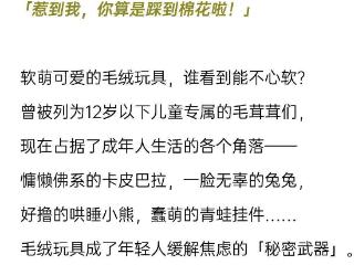 年轻人最爱的「毛绒绒」品牌，迪士尼只能排第二｜2025毛绒玩具报告