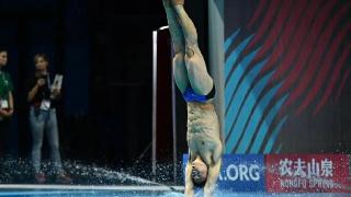 世锦赛跳水、世界女排联赛最新消息