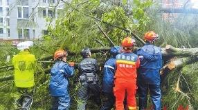 迎战“杜苏芮”风雨见真情