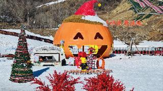 焕新上线！红叶柿岩诚意满满 燃启村潮中国年