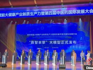 聚焦中药发展“数智化” 第四届中医药国际发展大会在天津举行