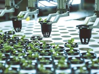 自动化无人植物工厂
