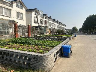 北桥街道灵峰村：“美丽菜园”以点带面 人居环境焕发新颜