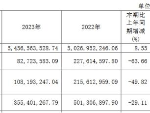 永冠新材2023净利降63.66% 2019上市三度募资共17亿