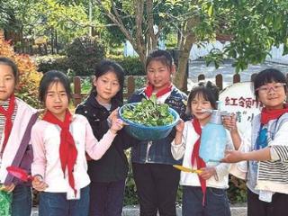 文靖东路小学开展“红领巾小菜园”种植劳动实践活动
