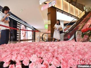 成都：上万朵“玫瑰花”装饰成“浪漫电梯”