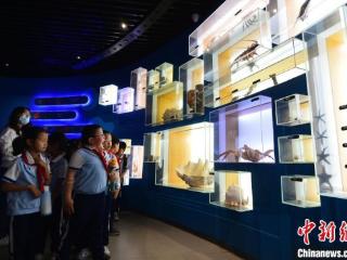 山东青岛：小学生开启海洋科普之旅迎国际博物馆日