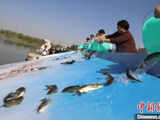 守护生物多样性  逾2000斤鱼苗在河北衡水湖增殖放流