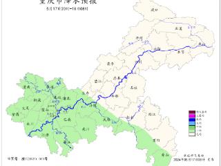 重庆多地遭遇强降水 未来三天多阵雨，局地暴雨