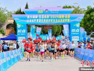 三千名跑者竞速槐林 促全民健身与县域旅游融合