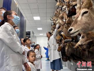重庆自然博物馆首开“珍品库房” 公众赴珍贵标本之约