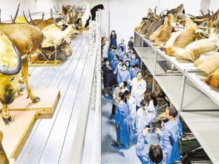 重庆自然博物馆首次开放珍品库房