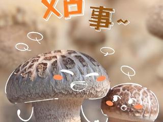 好品中国｜超级“蘑”力 不可“菇”量