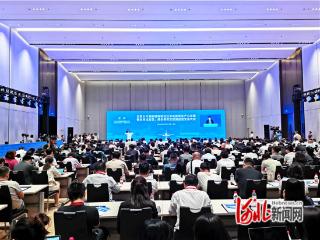 北京大兴国际机场临空经济区新质生产力发展大会在廊坊召开