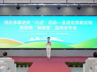 河北农产品“六进”活动暨邯郸“冀南麦”品牌发布会成功举办