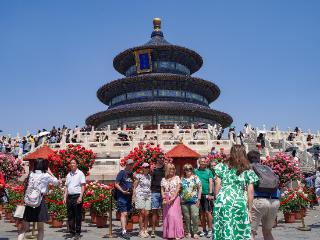 北京月季文化节开启 11个展区达历届之最