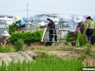 四川蓬安：农机助农人 抢收抢种忙