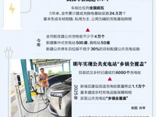 武汉新能源车桩比全国前五