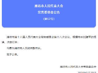 潍坊新增一位“70后”副市长，马勇已任潍坊市人民政府副市长