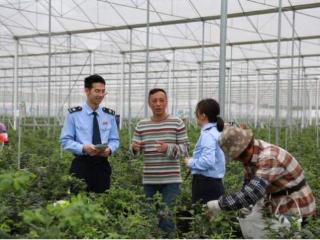 广东德庆：家庭农场来了“税费管家”