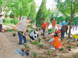 石嘴山市建设“共享花园”“共享菜园”
