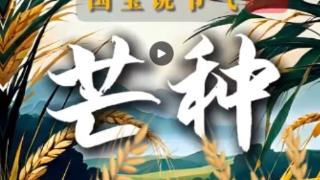 文脉华章｜国宝里的“芒种”，生生不息的华夏密码