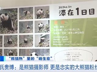 “吸睛”又“吸金”！大熊猫香香6年为日本带来28亿元经济效益