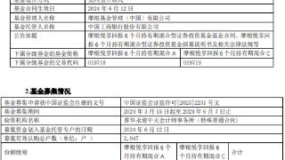 摩根悦享回报6个月持有期混合成立 规模11亿元