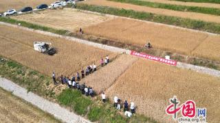 广元昭化：耕耘田畴起粮仓 沃野欢歌织锦绣