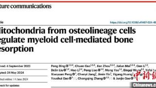 中新健康丨中国专家新发现为骨质疏松等治疗提供新依据