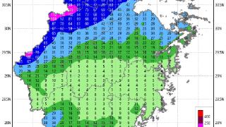 梅雨带北抬发威，浙中北暴雨伴强对流