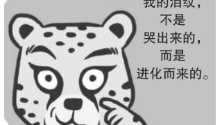 猎豹为什么有花纹？