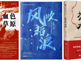 王怀宇“家乡三部曲” 文学看世界的新方式